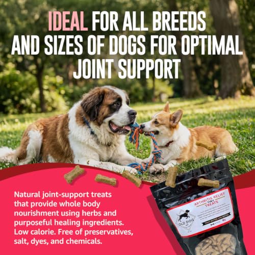 Image of Old Dog Cookie Company Hip and Joint Support Tiny Treats | All Natural Arthritis Relief, 4 Calorie | Joint Support for Every Stage of Life | Small, Medium & Large Breeds | 8 oz
