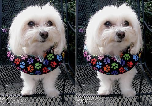 Puppy Bumpers Keep Your Dog on The Safe Side of The Fence - Rainbow Paw (10-13") image 5