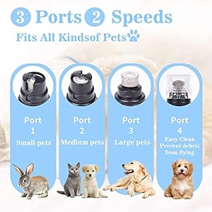 Pet Nail Grinder with LED Light & 2 Grinding Heads, 2-Speed Low Noise & More Powerful Dog Nail Grinder, Pet Nail Trimmer File, Painless Paw Claw Care, Quiet Toenail Grooming Tool for L/M/S Dogs/Cats Pet Nail Grinder with LED Light 2 Grinding Heads 2 Speed Low Noise More Powerful Dog Nail Grinder Pet Nail Trimmer File Painless Paw Claw Care Quiet Toenail Grooming Tool for LMS DogsCats