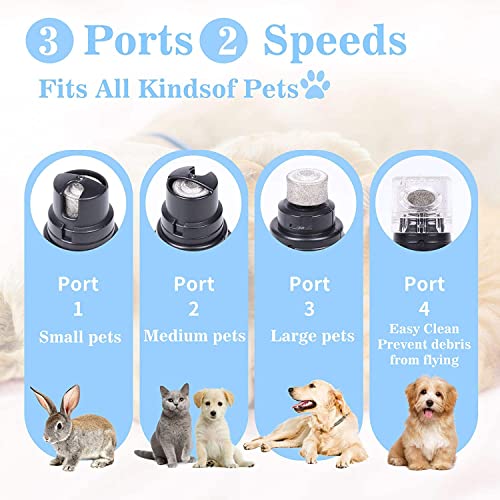 Pet-Nail-Grinder-with-LED-Light-2-Grinding-Heads-2-Speed-Low-Noise-More-Powerful-Dog-Nail-Grinder-Pet-Nail-Trimmer-File-Painless-Paw-Claw-Care-Quiet-Toenail-Grooming-Tool-for-LMS-DogsCats Pet Nail Grinder with LED Light 2 Grinding Heads 2 Speed Low Noise More Powerful Dog Nail Grinder Pet Nail Trimmer File Painless Paw Claw Care Quiet Toenail Grooming Tool for LMS DogsCats