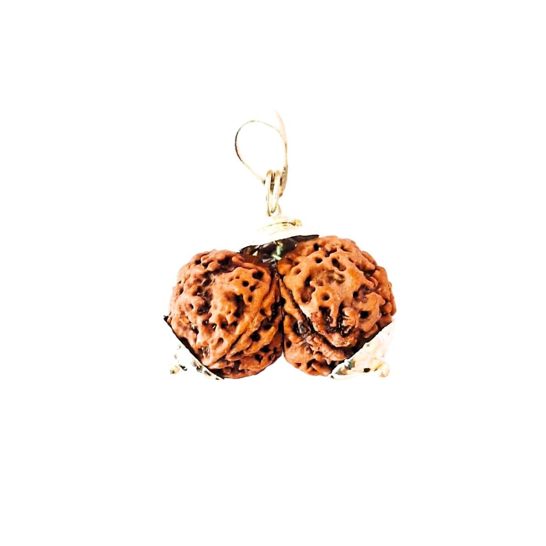 piccoti Original Nepali Rudraksha Locket | Rudraksha Locket with Silver Plated Caps for Astrological Benefits | 1 to 10 Faces-picture-46