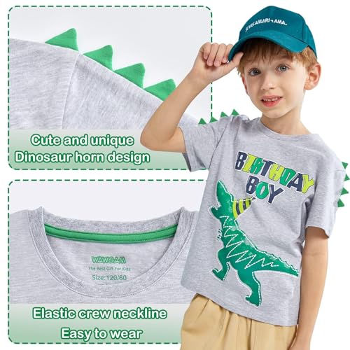 Dinosaur Birthday Boy T-Shirt - B-Day Dino Party T-Rex Top - Cotton Toddler Tee - Gray Short Sleeve Outfit3