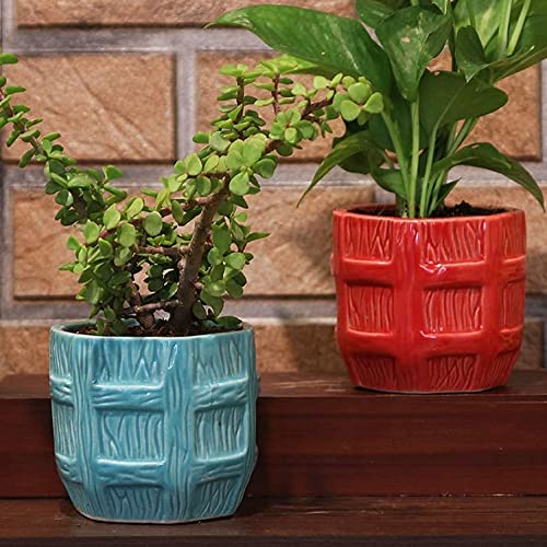 Image of Leafy Tales Urn Ceramic Pot, Multicolour, 3 Inch, 3 Pots, Urn Set 3 (Urn Set 3) Barrel Pot Ceramic, Aqua, 1pc (Barrel Aqua)