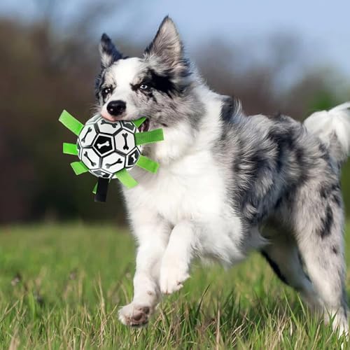 Bola de pastoreo de perros ideal para juegos al aire libre y días de playa 3