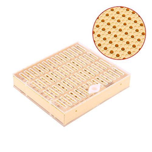 Walfront Bienenzucht Queen Aufzucht Box+110 Cell Cups +12zellenstangenblöcke Und Kappen +10haarrollenkäfige Nicot Zuchtsystem Ameisen Königin