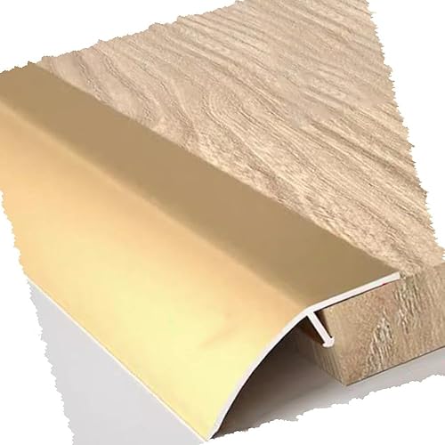 HCZION Tiras de transición de elevación de 0.8 in, tiras antideslizantes de umbral de transición de piso, rampas de umbral de puerta de metal para