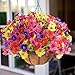 AWARDSEN 16 Bundles Artificial Flowers for Outdoors UV Resistant Silk Fake Flower Outside for Plants Garden Porch Yard Home Spring Summer Decor (Colorful)