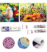 2 Pack 5D Diamond Painting Kits for Adults, Kids Diamond Painting Kits, Crystal Rhinestone Embroi...