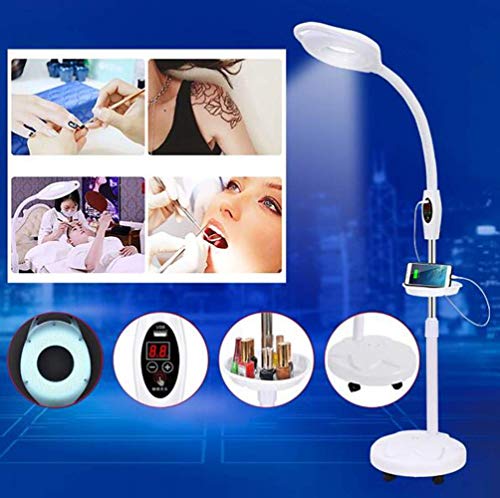 Lupa, lámpara de pie LED con Lupa, Lupa Brillante de luz Diurna, Lente de Aumento de 16X con Soporte, Altura Flexible, Cuello de Cisne Ajustable, luz fría de pie para Lectura (A)