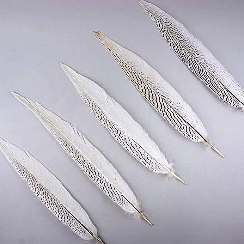 1 Pc Silver Natural Pheasant Feathers 10''-16''