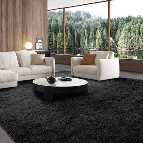 CAIYUECS Area Rug 7x10: Black Modern Indoor Soft Shaggy Fuzzy Floor Carpet for Living Room