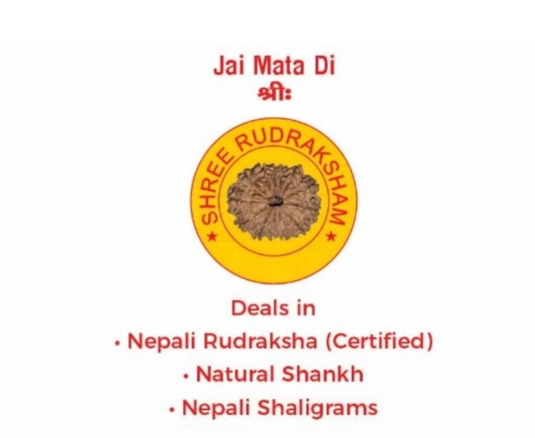 7 Mukhi Rudraksha Mala - Enhance Focus & Prosperity -6