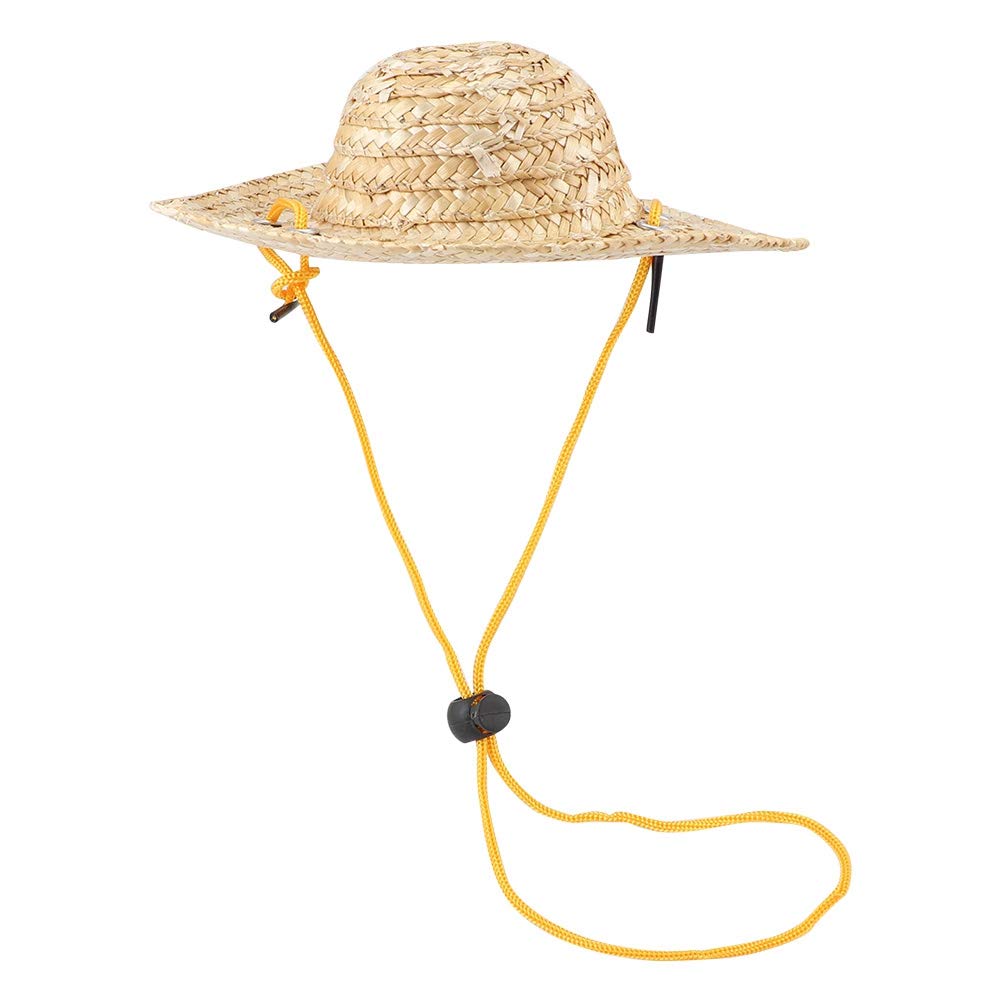 Costume Hip Hop Per Cani E Gatti – Collana Con Dollaro E Occhiali Da Sole, Accessorio In Metallo E Tela Per Foto E Feste, Regalo Originale Per Animali