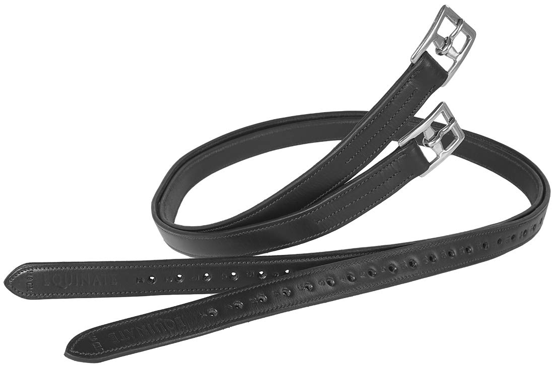 Equinate Étrivières en cuir de qualité supérieure avec boucles en acier inoxydable