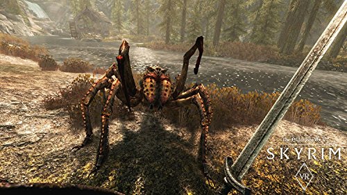 Skyrim VR pour affronter les dragons à taille réelle Import - 3