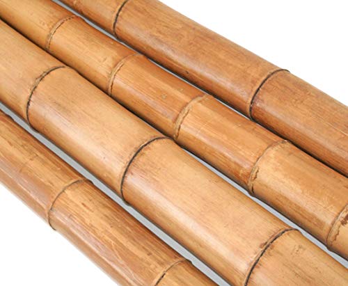1 Stück Bambusstange Natur 200cm mit dickem Durchmesser 8 bis...