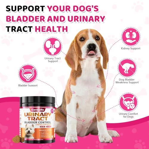 Image of Cranberry for Dogs, Dog Urinary Tract & Bladder Support + D-Mannose, 200ct