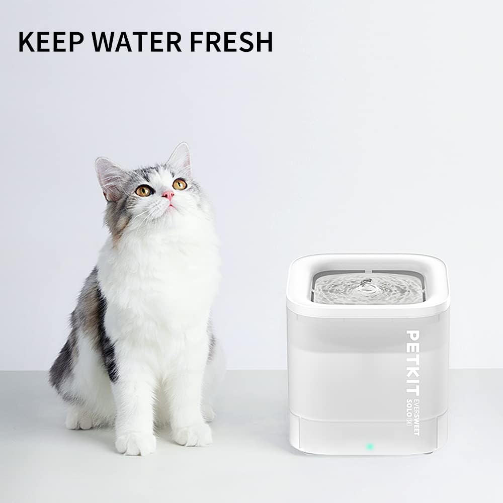 A cat looking up next to the PETKIT Eversweet Solo SE water fountain, illustrating its use for pets.
