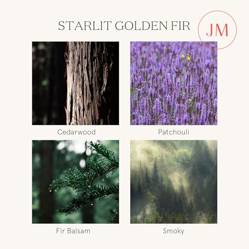 LA-JOLIE-MUSE-Fir-Cedarwood-Candle-Christmas-Candles-for-Home-Scented-Holiday-Candle-Gifts-Large-2-Wick-Soy-Candle-Long-Burning-Luxury-Jar-Candle-Starlit-Golden-Fir-12oz LA JOLIE MUSE Fir Cedarwood Candle Christmas Candles for Home Scented Holiday Candle Gifts Large 2 Wick Soy Candle Long Burning Luxury Jar Candle Starlit Golden Fir 12oz