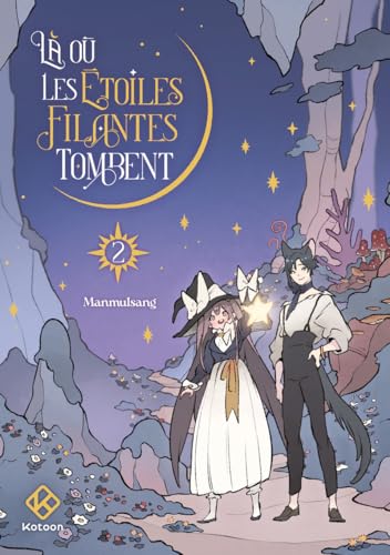 Couverture de Là où les étoiles filantes tombent