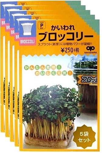 中原採取場 ブロッコリースプラウト 種 5袋セット