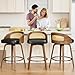 REONEY Rattan Bar Stools Set of 6, 26
