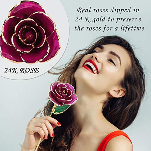 FILFEEL 24K Gold Rose - Image 2