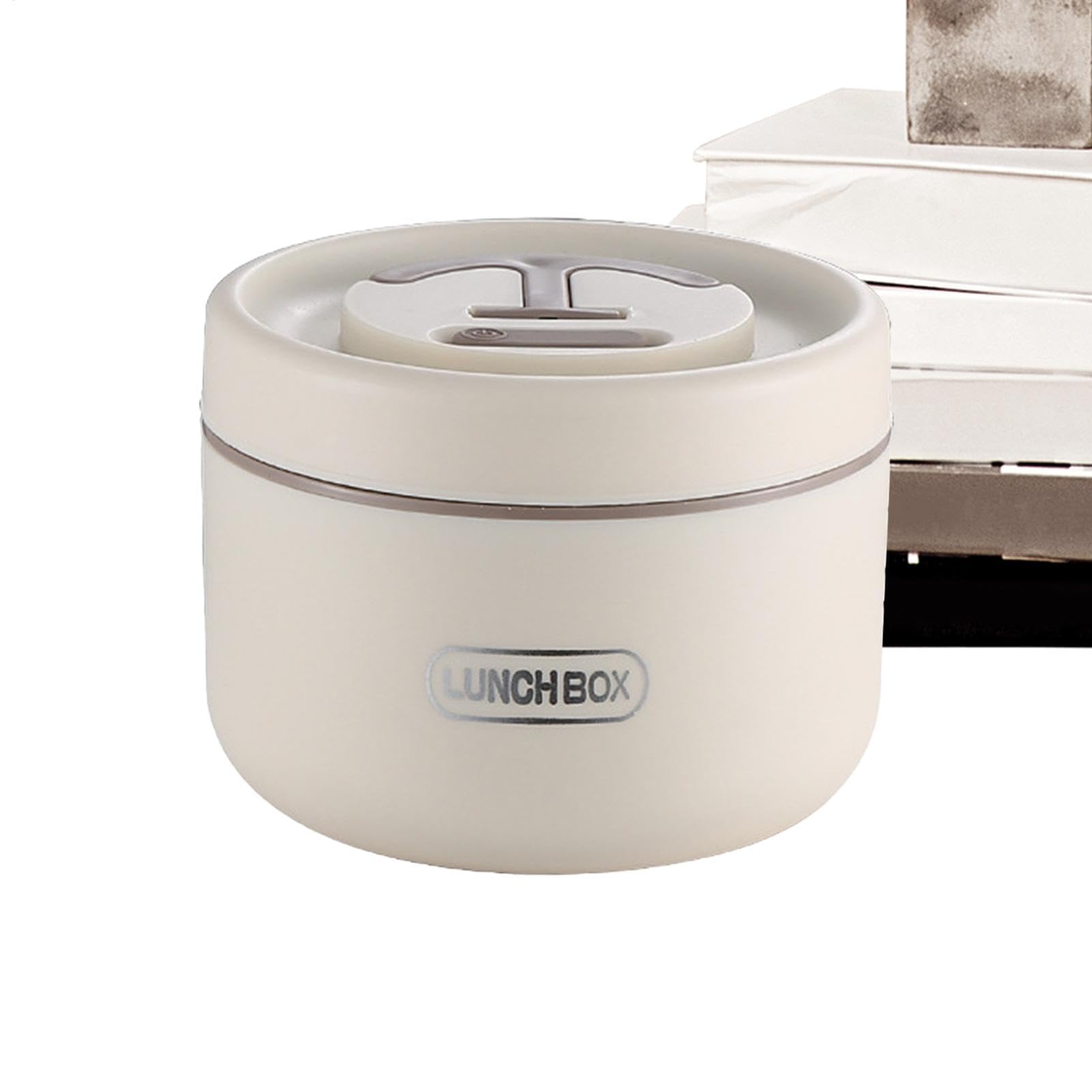 WDWDW Lunch Box Stainless Steel Insulated,Vacuum Insulated Food Container,650 ml Leak-Proof Wide Mouth Jar