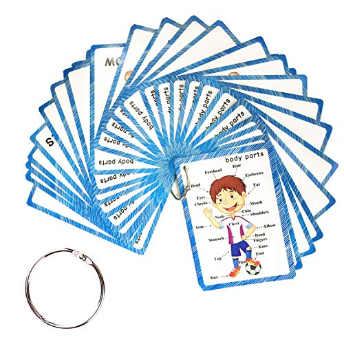 Image of SANTSUN Set of Body Parts Kid Flashcards - Educational Learning Picture & Word Card Flashcards Body Parts-The Flash Hole-Punched So You Can Sort and Organize The Cards Easily