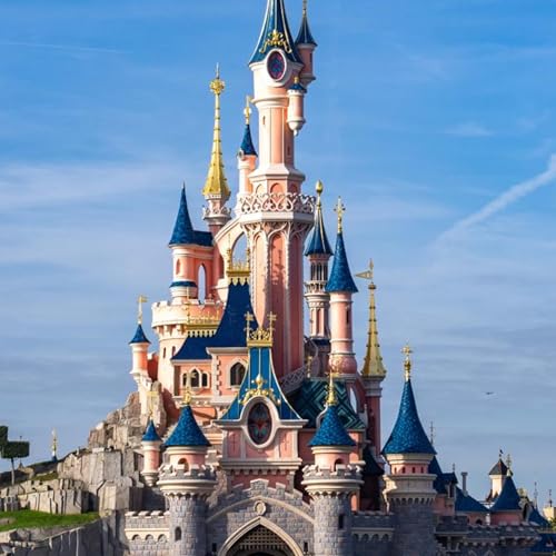 Couverture de sagui friki de Disney