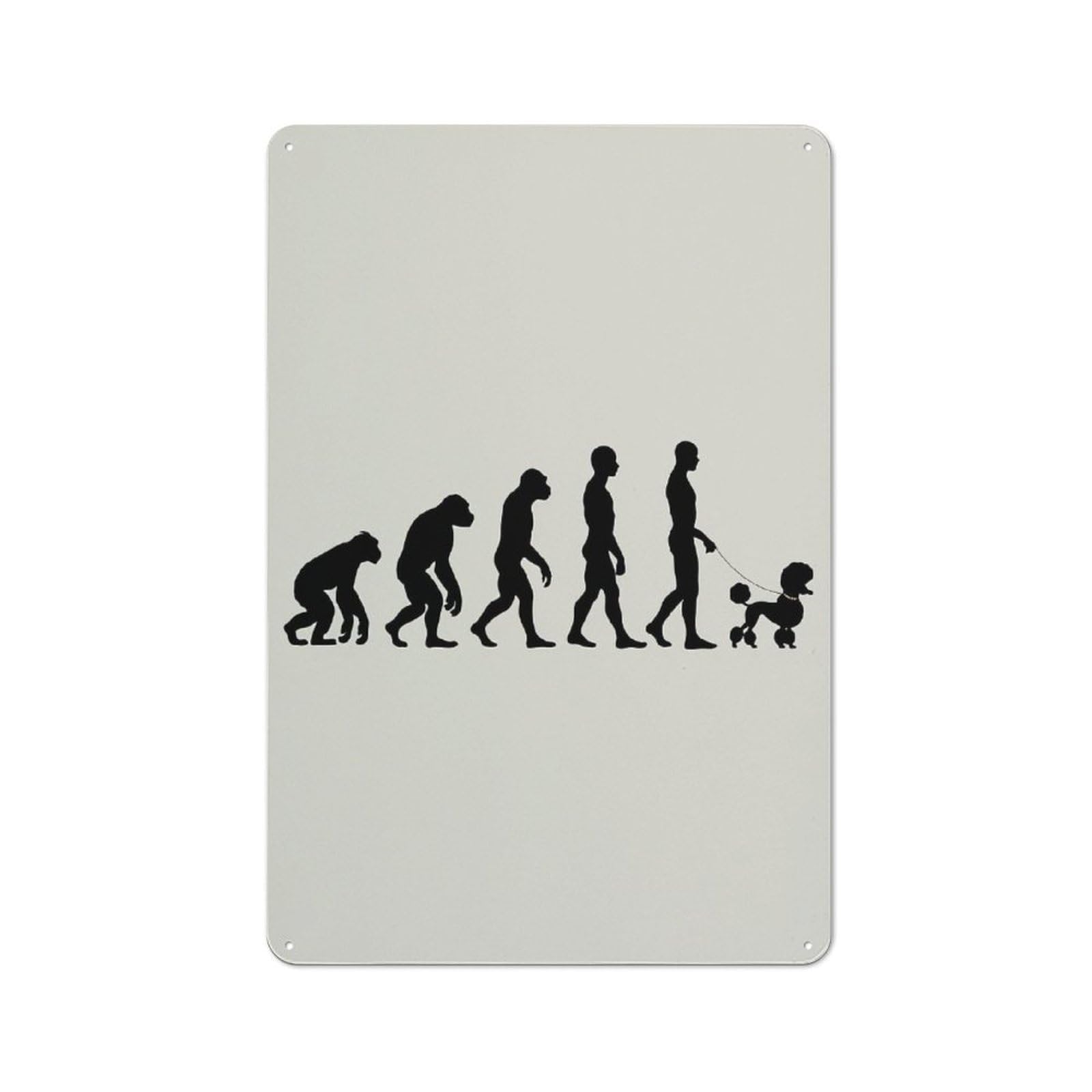 Junmoney Style-1 Tin Wall Plaque 30X20cm With Evolution Poodle For Hobby Room Or Studio, For Themed Interiors In Hobby Rooms And Studios
