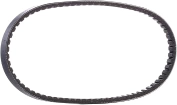 Continental 13X785 Metric V-Belt