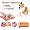 Dog Puzzle Toys for IQ Training