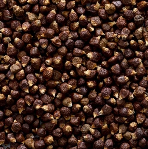 Frontier Bulk Grains of Paradise Seed Whole, 16 Ounce - Image 3