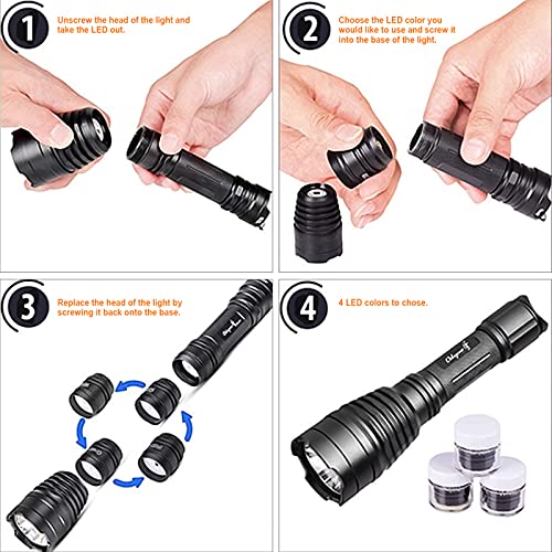 Image of KL41Plus Predator Hunting Light Kit for Coyote, Hog & Varmint