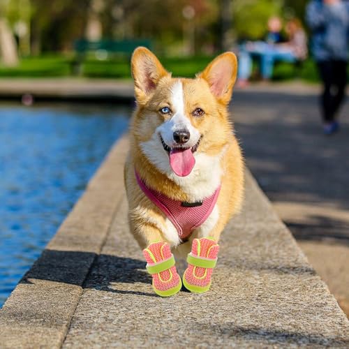 Chaussures pour chiens pour protéger les coussinets et éviter les blessures - 8