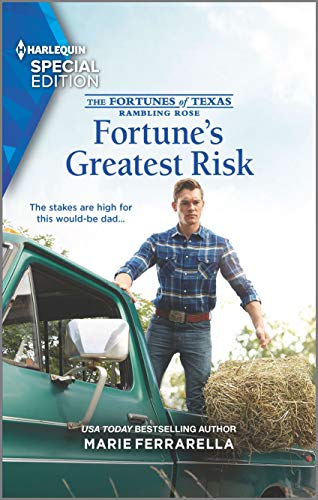 Fortune's Greatest Risk (By: Marie Ferrarella)
