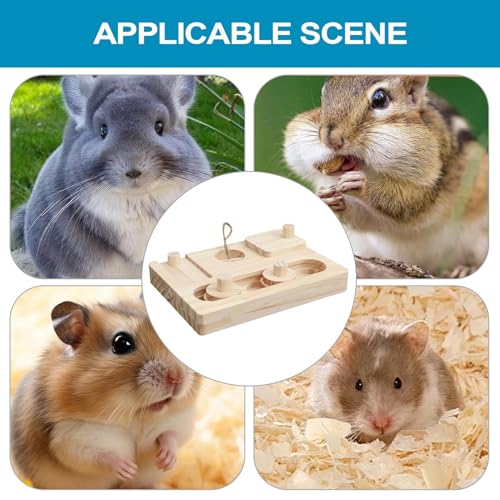 Jouets fourragers de lapin hamster rongeur sniffer game interactif - 5