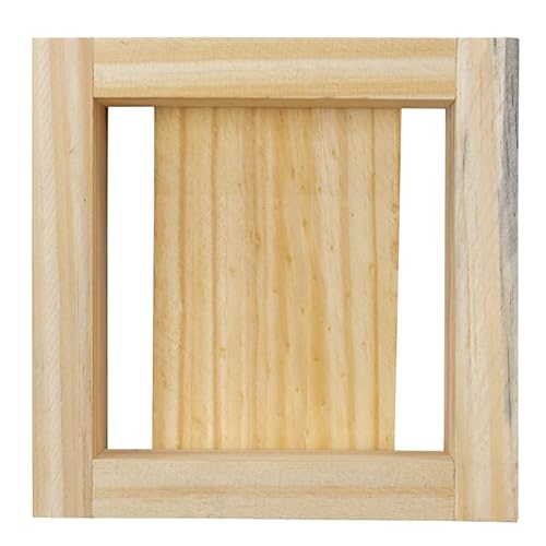 Caixa Abelhas sem ferrão modelo INPA 10x10 Jataí Mirim Pinus
