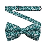 Hiukset Men's Chemistry Pre-Tie Bow Tie Mens Chemistry Equations Bowties Science Bow Ties for Men Novelty Business Formal Ties for School Teachers