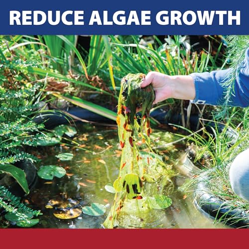 The Pond Guy Instafix Algae Control, Outdoor Water Garden, Fountain & Birdbath Algae Solution, Epa Registered Liquid Algaecide thumb #3