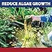 The Pond Guy InstaFix Algae Control, Outdoor Water Garden, Fountain & Birdbath Algae Solution, EPA Registered Liquid Algaecide, Control Green Water & String Algae, Bird, Fish & Pet Safe, 32 Ounces