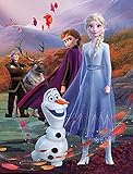 ✅ PFLEGE + WASCHANLEITUNG - Die Frozen - Fairytale Spielunterlage ist Dank des dichten Kurzfloor für eine schnelle Reinigung zum Absaugen mit dem Staubsauger perfekt ausgelegt. Hartnäckige Flecken können Sie mit einem Nass- und Trockensauger entfernen.
