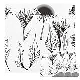 Entretien facile : sets de table lavables.