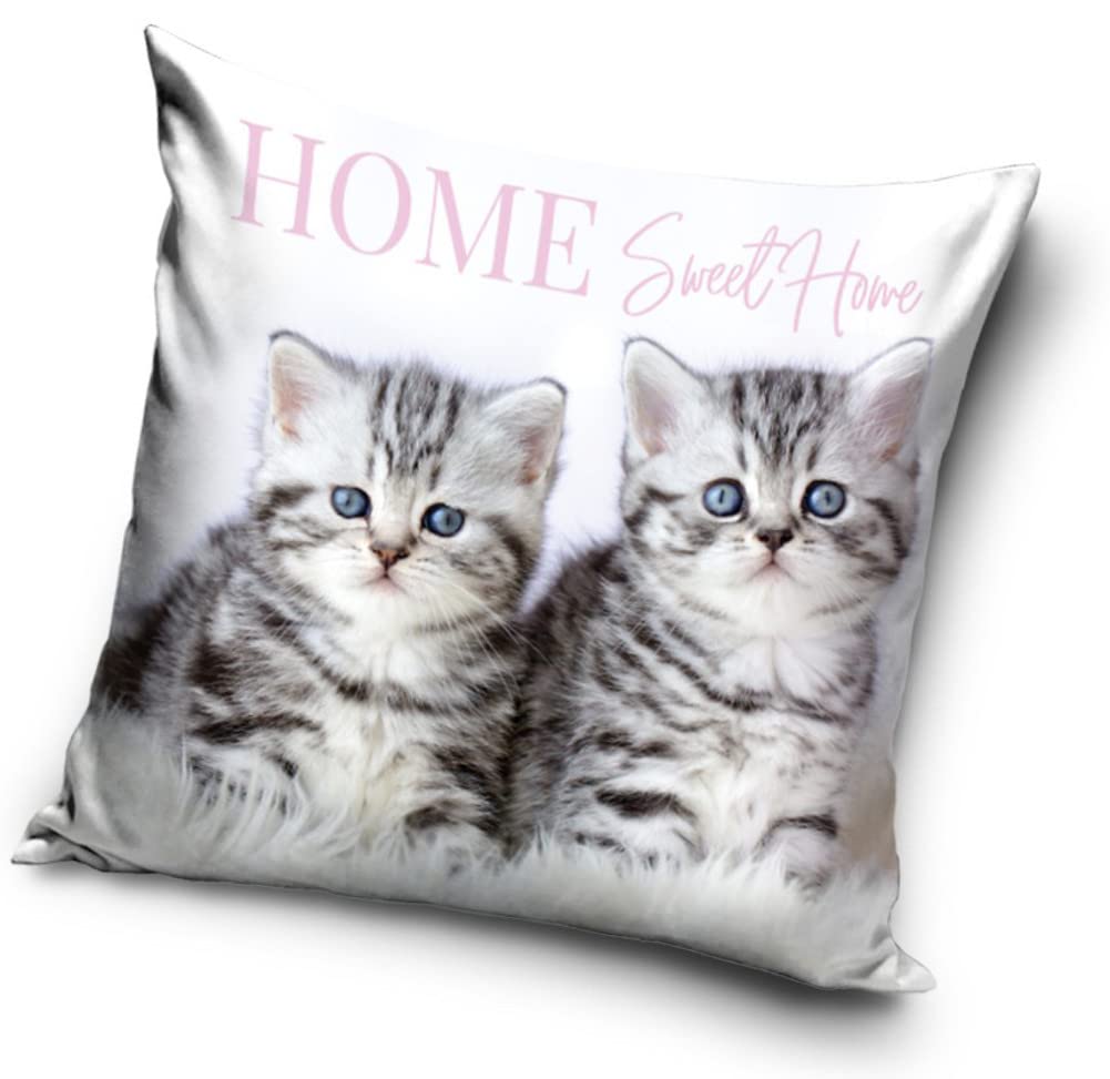 Funda de cojín con diseño de gatos (PNL214083)