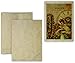 5X7 Cut Size Blank Cards with A-7 Envelopes - Aged Parchment Look - 25 Card and Envelope Sets by ThunderBolt Paper - for Invitations, Greeting, Thank Yous, Weddings - 65# Light Weight Cover Cardstock