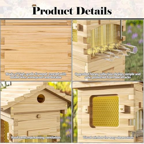 Beehive Starter Kit de démarrage avec fenêtre d'observation et bec à miel, boîte de ruche complète pour pollinisateurs de jardin
