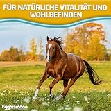 Eggersmann Mein Pferdefutter Vitalize Low Carb Plus 15 kg – Getreidefreies Pferdefutter – Für Pferde mit Stoffwechselproblemen geeignet – Mit essentiellen Aminosäuren, Vitaminen & Mineralstoffenv
