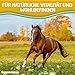 Eggersmann Mein Pferdefutter Vitalize Low Carb Plus 15 kg – Getreidefreies Pferdefutter – Für Pferde mit Stoffwechselproblemen geeignet – Mit essentiellen Aminosäuren, Vitaminen & Mineralstoffenv