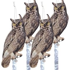 4 Brown Feathered Owl